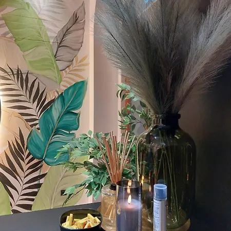 Pedestrian Street Center Of Belgrade - Mini Rooms With Paid Parking 2*